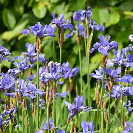 Apartamento Landidyll