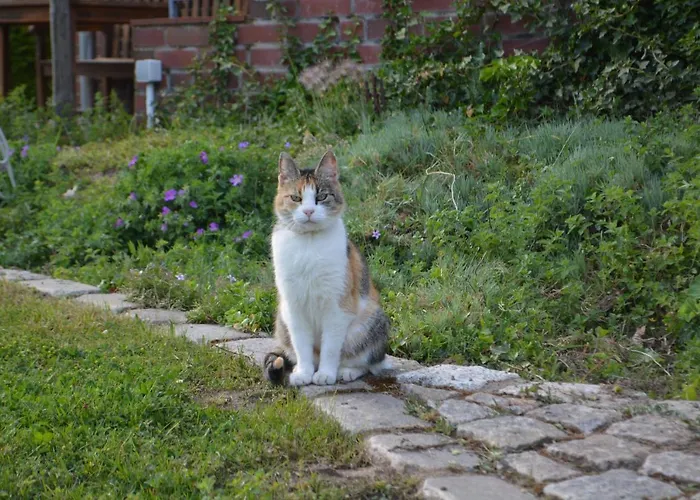Landidyll Apartman Uelzen